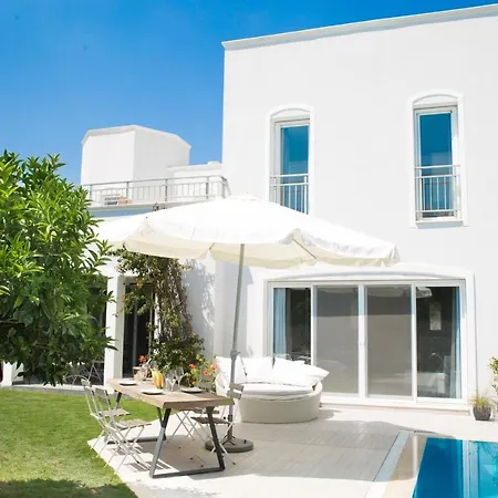 Important Group Olivia Bodrum